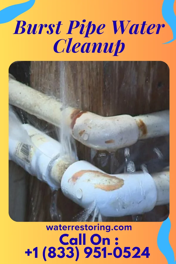 Burst Pipe Water Cleanup in Pulaski, WI