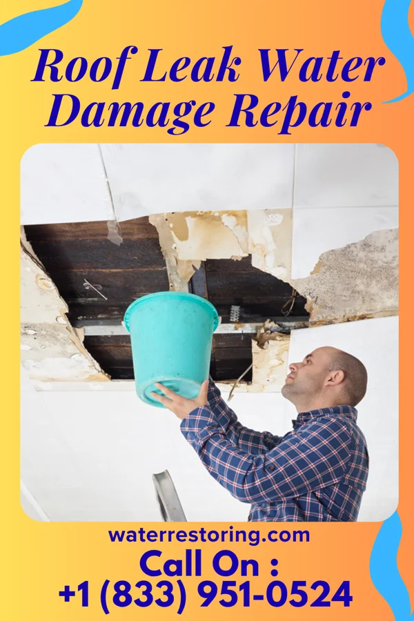 Roof Leak Water Damage Repair in Pulaski, WI